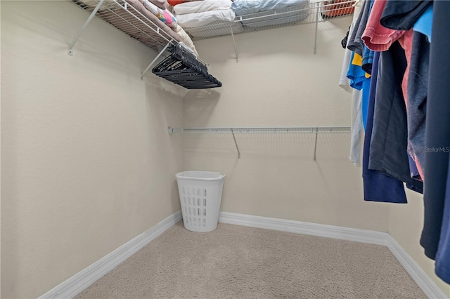 99 Vivante Blvd Unit 303, Punta Gorda, FL 33950 - spacious closet with carpet flooring