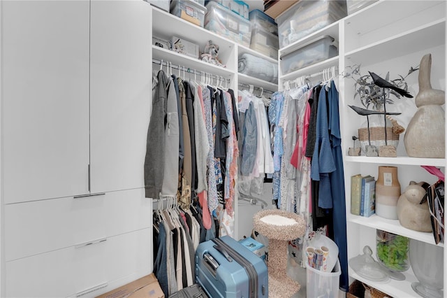 1324 Longwood Dr, Fort Myers, FL 33919 - view of walk in closet