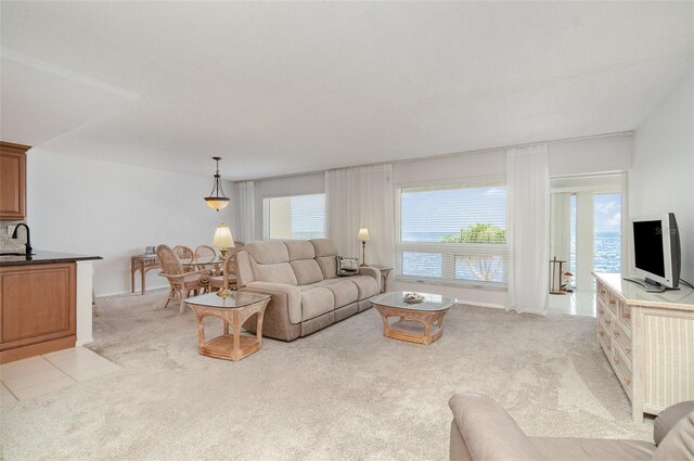 1 Colony Point Dr Unit B20, Punta Gorda, FL 33950 - photo 10