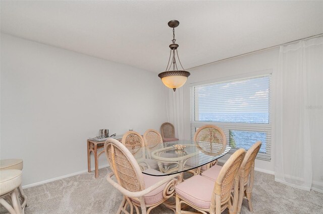 1 Colony Point Dr Unit B20, Punta Gorda, FL 33950 - photo 13