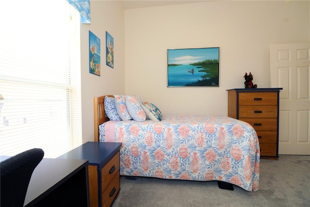 3772 Peace River Dr, Punta Gorda, FL 33983 - bedroom featuring carpet flooring