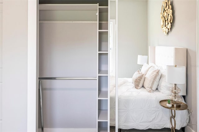 14350 Marlin Ave, Port Charlotte, FL 33953 - view of closet