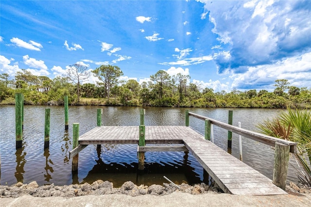 13295 Eisenhower Dr, Port Charlotte, FL 33953 - photo 44
