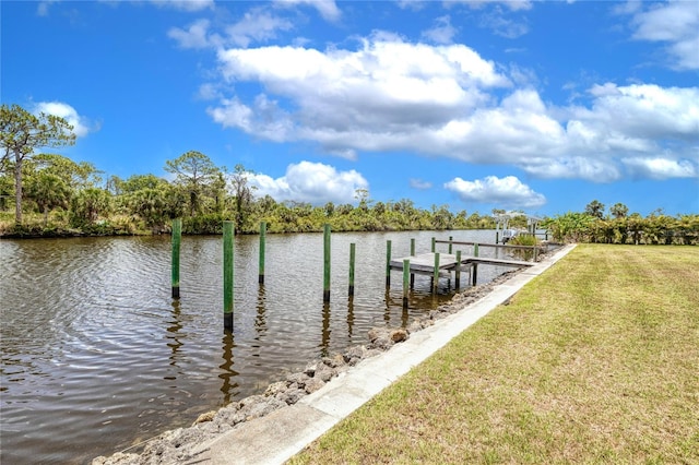 13295 Eisenhower Dr, Port Charlotte, FL 33953 - photo 46