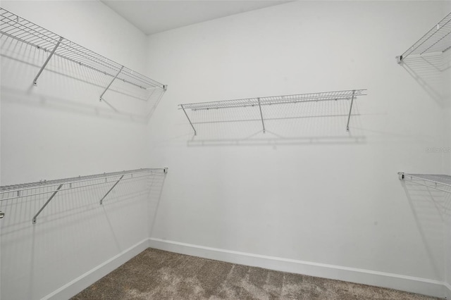16053 Rosemallow Ln, Alva, FL 33920 - spacious closet with carpet flooring