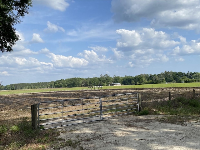 0 Sr 345, Chiefland, FL 32626 - photo 3