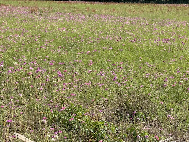 0 Sr 345, Chiefland, FL 32626 - photo 4