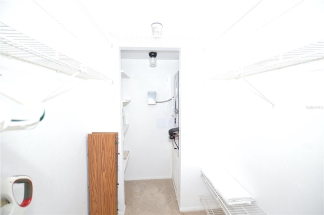 12538 SW Kingsway Cir Unit 1602, Lake Suzy, FL 34269 - spacious closet with carpet flooring