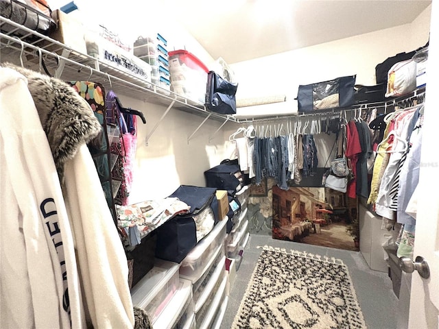 25008 Lalique Pl, Punta Gorda, FL 33950 - walk in closet featuring carpet floors