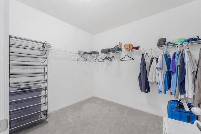 7652 Mikasa Dr, Punta Gorda, FL 33950 - spacious closet featuring carpet flooring