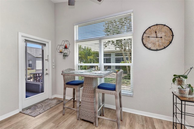 24358 Folkstone Ave, Punta Gorda, FL 33980 - dining space featuring healthy amount of natural light, wood finished floors, and ceiling fan