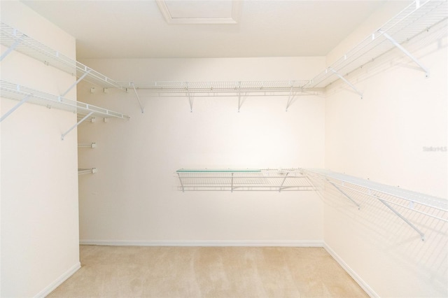 3506 Saint Florent Ct, Punta Gorda, FL 33950 - spacious closet featuring light carpet and attic access