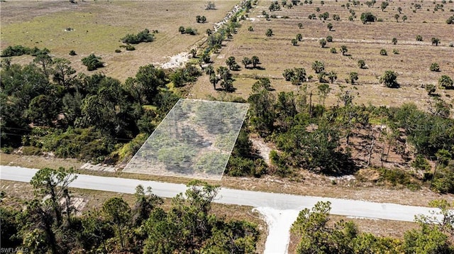 12533 Green Gulf Blvd, Punta Gorda, FL 33955 - photo 1