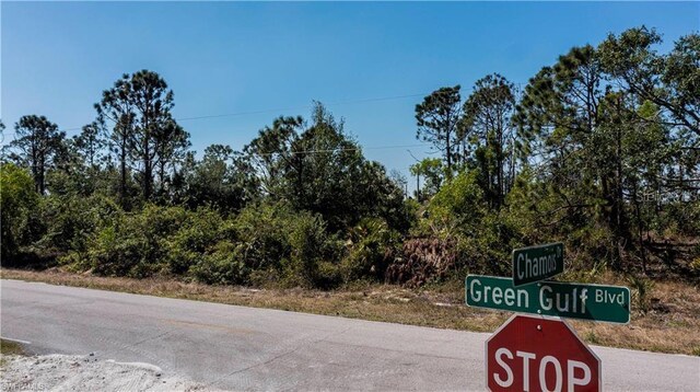 12533 Green Gulf Blvd, Punta Gorda, FL 33955 - photo 6