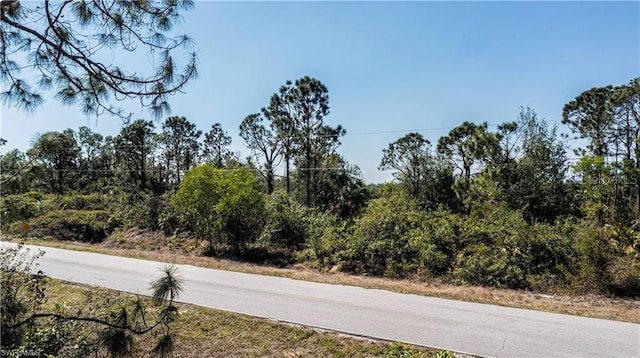 12533 Green Gulf Blvd, Punta Gorda, FL 33955 - photo 8