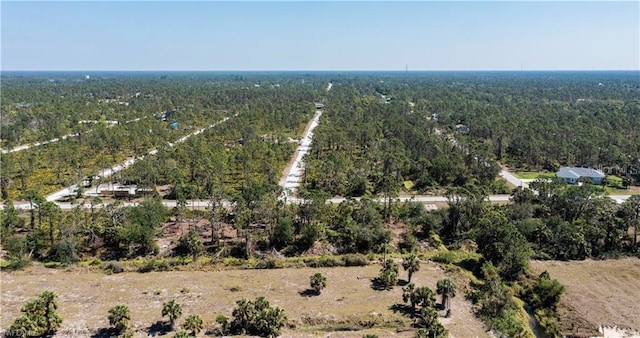 12533 Green Gulf Blvd, Punta Gorda, FL 33955 - photo 17