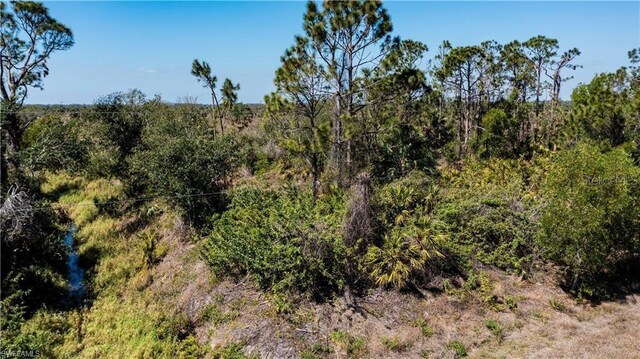 12533 Green Gulf Blvd, Punta Gorda, FL 33955 - photo 19