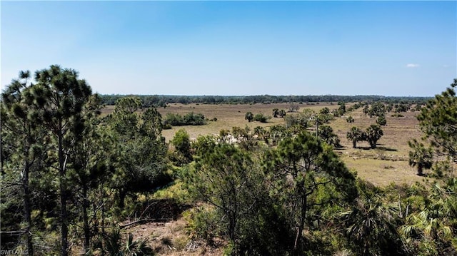 12533 Green Gulf Blvd, Punta Gorda, FL 33955 - photo 20