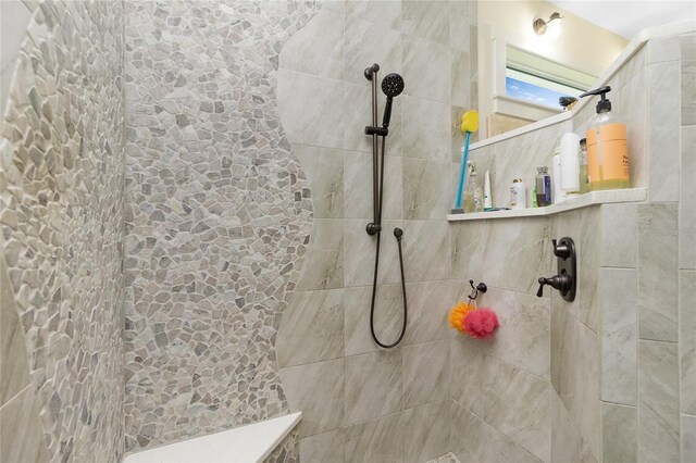 13204 Kakapo Ave, Port Charlotte, FL 33981 - bathroom featuring a walk in shower