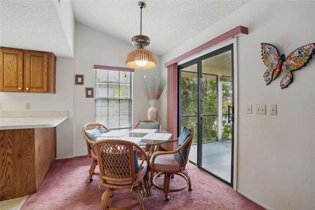 219 Tait Ter SE, Port Charlotte, FL 33952 - photo 9