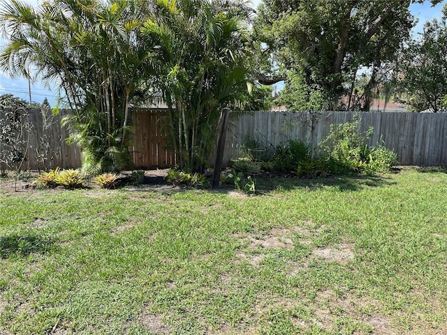 404 W Whidden St, Arcadia, FL 34266 - view of yard