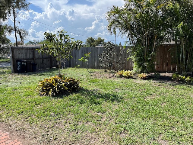 404 W Whidden St, Arcadia, FL 34266 - view of yard