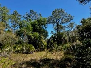 5151 Chiquita Dr, Punta Gorda, FL 33982