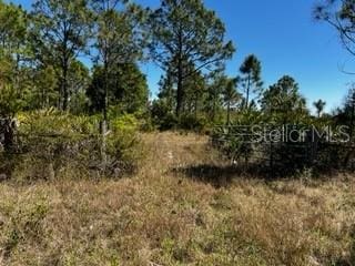 5151 Chiquita Dr, Punta Gorda, FL 33982