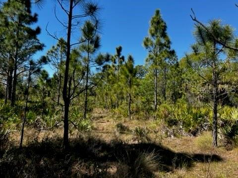 5151 Chiquita Dr, Punta Gorda, FL 33982