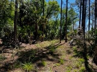 5151 Chiquita Dr, Punta Gorda, FL 33982