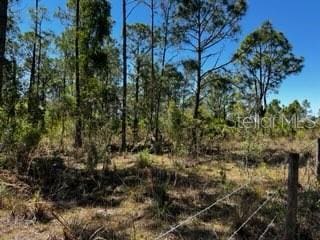 5151 Chiquita Dr, Punta Gorda, FL 33982