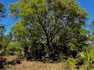 5151 Chiquita Dr, Punta Gorda, FL 33982