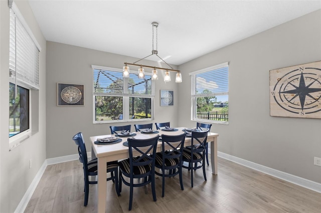 19821 Montenero Way, Venice, FL 34293 - dining space with baseboards and wood finished floors