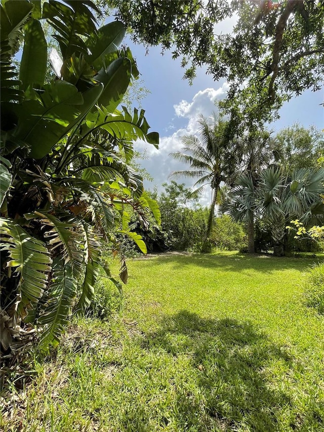 5727 Beechwood St, Punta Gorda, FL 33982 - view of grassy yard