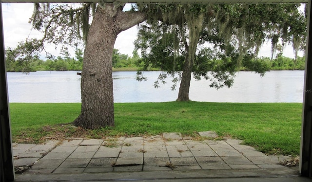 9986 SW Riverview Cir, Arcadia, FL 34269 - water view
