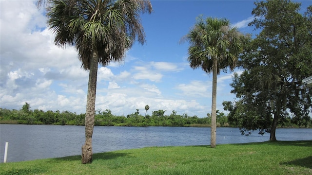 9986 SW Riverview Cir, Arcadia, FL 34269 - water view