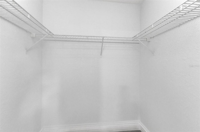 229 Waterside St, Port Charlotte, FL 33954 - view of walk in closet