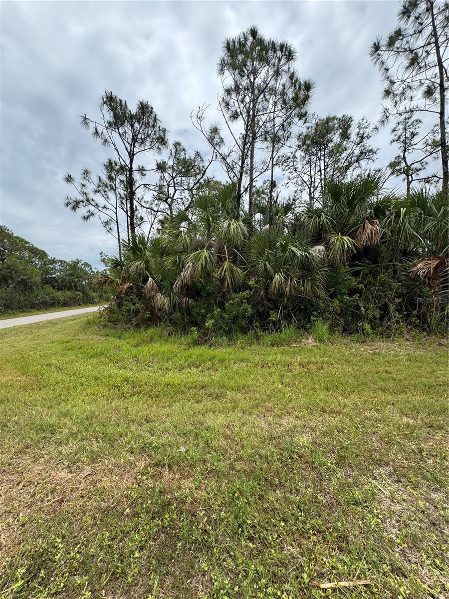 12071 Wadsworth Ave, Port Charlotte, FL 33981 - photo 1
