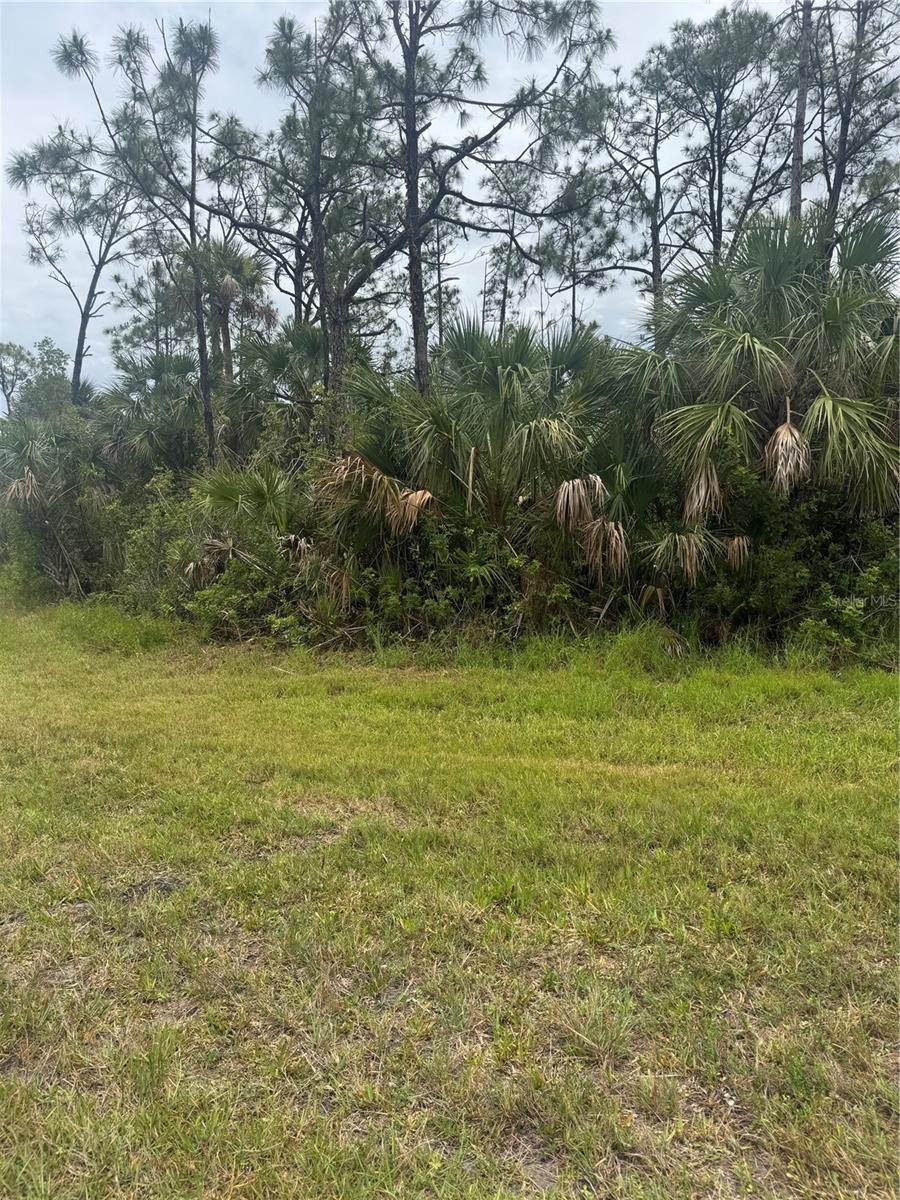 12071 Wadsworth Ave, Port Charlotte, FL 33981 - photo 2