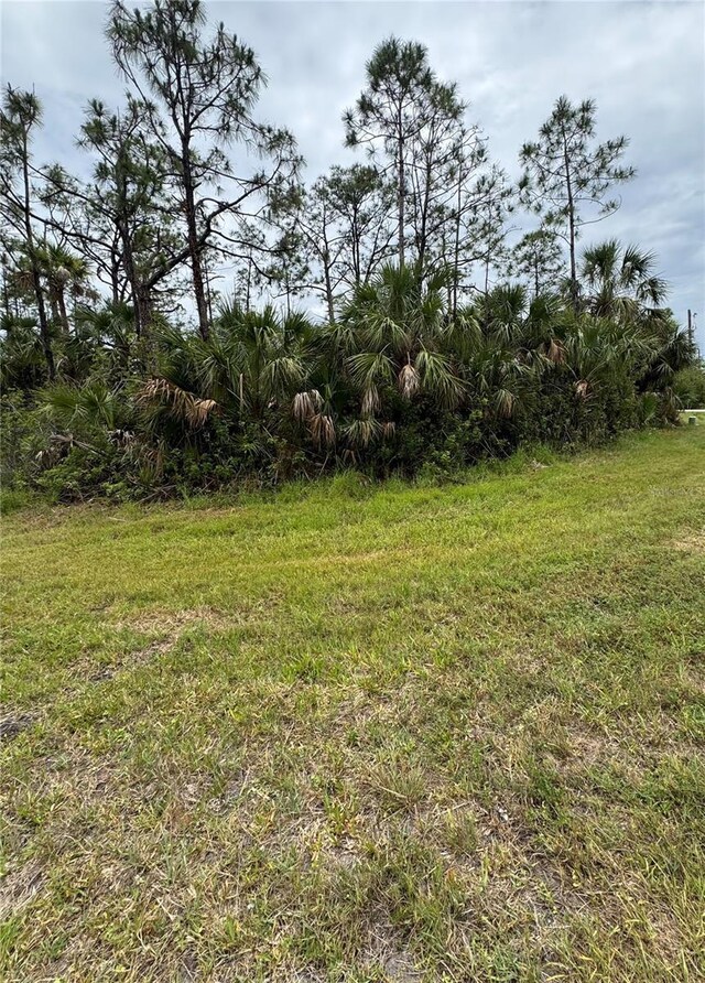 12071 Wadsworth Ave, Port Charlotte, FL 33981 - photo 4