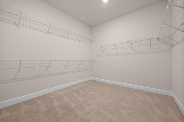 42346 Waterfront Way, Punta Gorda, FL 33982 - spacious closet with carpet flooring