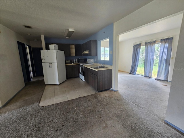 4424 Baroda Ave, North Port, FL 34287 - kitchen featuring freestanding refrigerator, electric range oven, light colored carpet, a sink, and light countertops