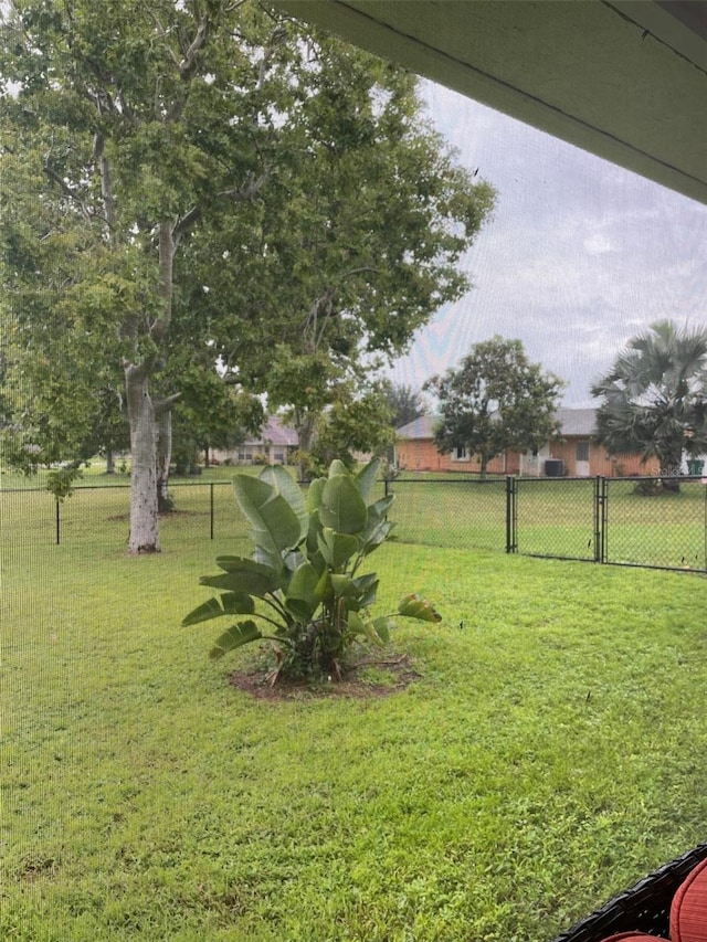 26129 Madras Ct, Punta Gorda, FL 33983 - view of yard