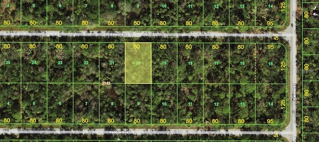 13373 Sedro Ave, Port Charlotte, FL 33953
