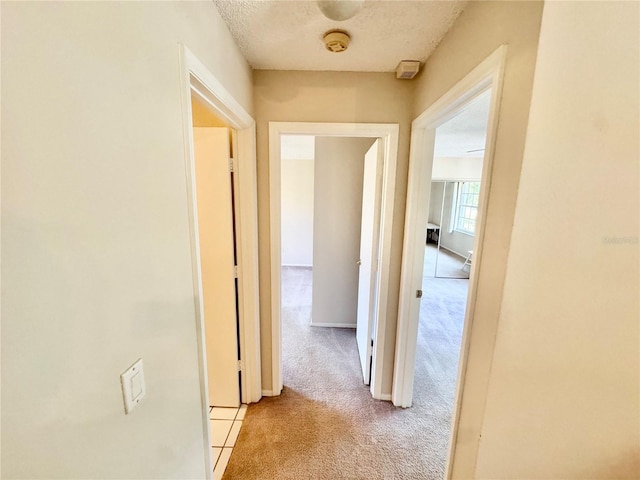 18335 Oxford Ave, Port Charlotte, FL 33948 - hallway with carpet and a textured ceiling