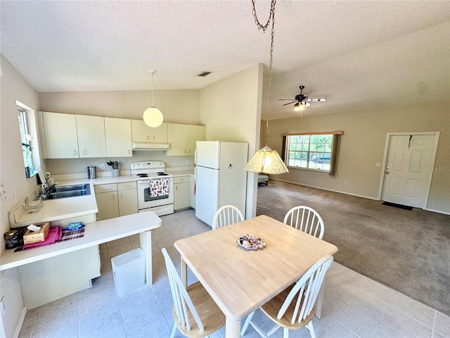 18335 Oxford Ave, Port Charlotte, FL 33948 - dining area featuring lofted ceiling, a ceiling fan, a textured ceiling, and light tile patterned floors