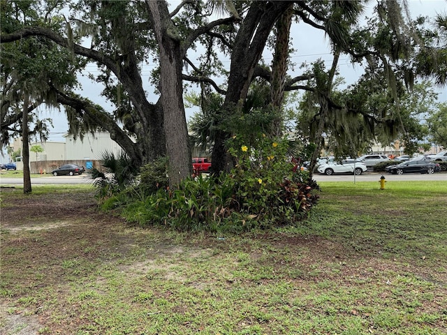 21260 Brinson Ave Unit 110, Port Charlotte, FL 33952 - view of yard