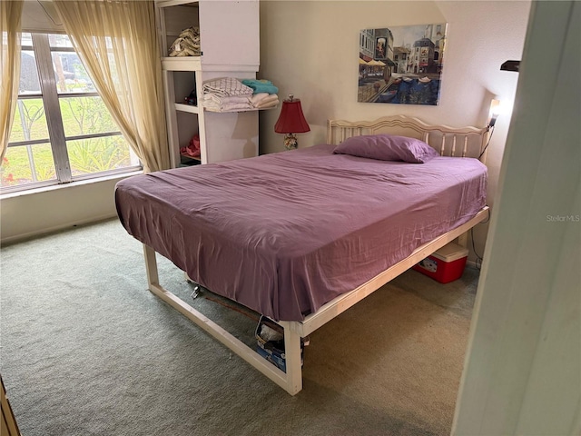 21260 Brinson Ave Unit 110, Port Charlotte, FL 33952 - view of carpeted bedroom