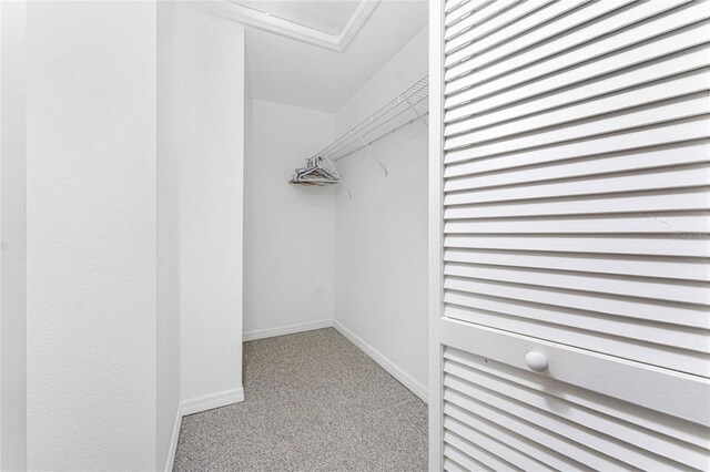 22481 Westchester Blvd Unit B47, Punta Gorda, FL 33980 - walk in closet featuring carpet floors