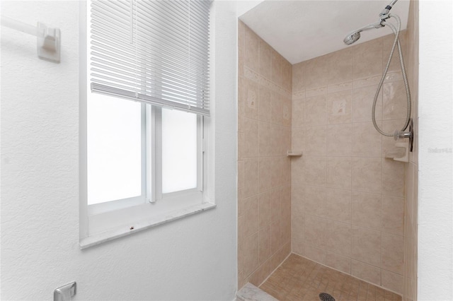 22481 Westchester Blvd Unit B47, Punta Gorda, FL 33980 - full bathroom with tiled shower